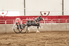 ete's Photography - Equine photography of various equine events at the Ancaster Fair including riding, driving, single carts and six draft horse hitches.