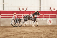 ete's Photography - Equine photography of various equine events at the Ancaster Fair including riding, driving, single carts and six draft horse hitches.