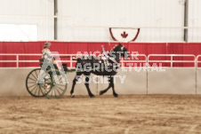 ete's Photography - Equine photography of various equine events at the Ancaster Fair including riding, driving, single carts and six draft horse hitches.