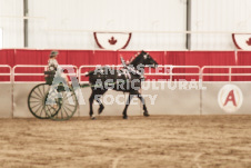 ete's Photography - Equine photography of various equine events at the Ancaster Fair including riding, driving, single carts and six draft horse hitches.