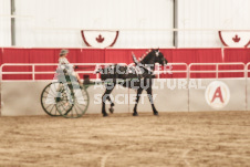 ete's Photography - Equine photography of various equine events at the Ancaster Fair including riding, driving, single carts and six draft horse hitches.