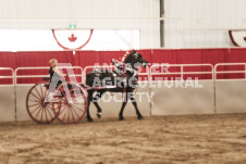 ete's Photography - Equine photography of various equine events at the Ancaster Fair including riding, driving, single carts and six draft horse hitches.