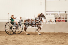 ete's Photography - Equine photography of various equine events at the Ancaster Fair including riding, driving, single carts and six draft horse hitches.