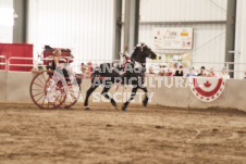 ete's Photography - Equine photography of various equine events at the Ancaster Fair including riding, driving, single carts and six draft horse hitches.