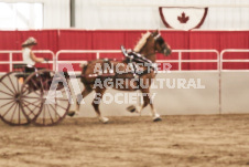 ete's Photography - Equine photography of various equine events at the Ancaster Fair including riding, driving, single carts and six draft horse hitches.