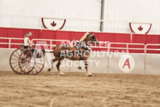 ete's Photography - Equine photography of various equine events at the Ancaster Fair including riding, driving, single carts and six draft horse hitches.