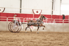 ete's Photography - Equine photography of various equine events at the Ancaster Fair including riding, driving, single carts and six draft horse hitches.