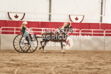 ete's Photography - Equine photography of various equine events at the Ancaster Fair including riding, driving, single carts and six draft horse hitches.