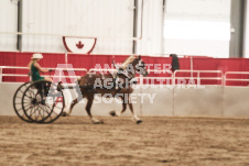 ete's Photography - Equine photography of various equine events at the Ancaster Fair including riding, driving, single carts and six draft horse hitches.