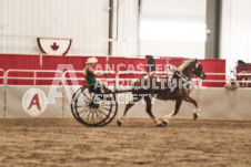 ete's Photography - Equine photography of various equine events at the Ancaster Fair including riding, driving, single carts and six draft horse hitches.