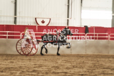 ete's Photography - Equine photography of various equine events at the Ancaster Fair including riding, driving, single carts and six draft horse hitches.