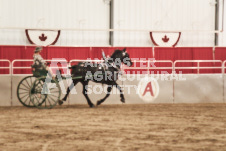 ete's Photography - Equine photography of various equine events at the Ancaster Fair including riding, driving, single carts and six draft horse hitches.