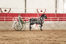 ete's Photography - Equine photography of various equine events at the Ancaster Fair including riding, driving, single carts and six draft horse hitches.