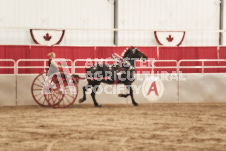 ete's Photography - Equine photography of various equine events at the Ancaster Fair including riding, driving, single carts and six draft horse hitches.