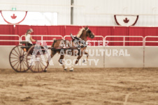 ete's Photography - Equine photography of various equine events at the Ancaster Fair including riding, driving, single carts and six draft horse hitches.