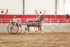 ete's Photography - Equine photography of various equine events at the Ancaster Fair including riding, driving, single carts and six draft horse hitches.