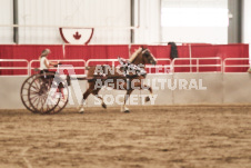 ete's Photography - Equine photography of various equine events at the Ancaster Fair including riding, driving, single carts and six draft horse hitches.