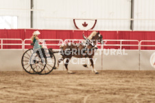 ete's Photography - Equine photography of various equine events at the Ancaster Fair including riding, driving, single carts and six draft horse hitches.