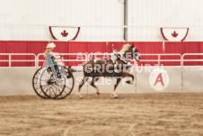 ete's Photography - Equine photography of various equine events at the Ancaster Fair including riding, driving, single carts and six draft horse hitches.