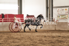 ete's Photography - Equine photography of various equine events at the Ancaster Fair including riding, driving, single carts and six draft horse hitches.