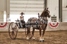 ete's Photography - Equine photography of various equine events at the Ancaster Fair including riding, driving, single carts and six draft horse hitches.