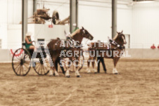 ete's Photography - Equine photography of various equine events at the Ancaster Fair including riding, driving, single carts and six draft horse hitches.