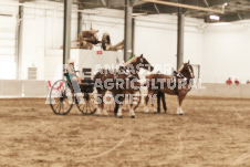 ete's Photography - Equine photography of various equine events at the Ancaster Fair including riding, driving, single carts and six draft horse hitches.