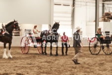 ete's Photography - Equine photography of various equine events at the Ancaster Fair including riding, driving, single carts and six draft horse hitches.