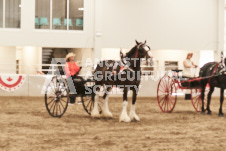 ete's Photography - Equine photography of various equine events at the Ancaster Fair including riding, driving, single carts and six draft horse hitches.