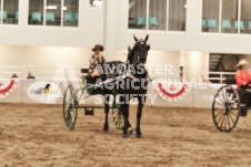 ete's Photography - Equine photography of various equine events at the Ancaster Fair including riding, driving, single carts and six draft horse hitches.