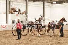 ete's Photography - Equine photography of various equine events at the Ancaster Fair including riding, driving, single carts and six draft horse hitches.