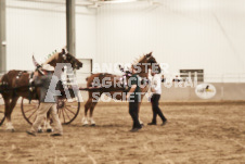 ete's Photography - Equine photography of various equine events at the Ancaster Fair including riding, driving, single carts and six draft horse hitches.