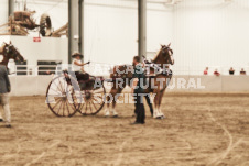 ete's Photography - Equine photography of various equine events at the Ancaster Fair including riding, driving, single carts and six draft horse hitches.