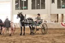 ete's Photography - Equine photography of various equine events at the Ancaster Fair including riding, driving, single carts and six draft horse hitches.