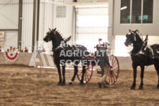 ete's Photography - Equine photography of various equine events at the Ancaster Fair including riding, driving, single carts and six draft horse hitches.