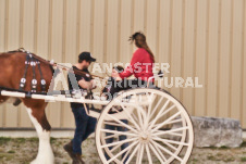 ete's Photography - Equine photography of various equine events at the Ancaster Fair including riding, driving, single carts and six draft horse hitches.