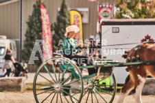 ete's Photography - Equine photography of various equine events at the Ancaster Fair including riding, driving, single carts and six draft horse hitches.