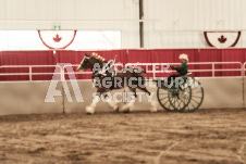 ete's Photography - Equine photography of various equine events at the Ancaster Fair including riding, driving, single carts and six draft horse hitches.