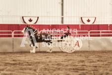 ete's Photography - Equine photography of various equine events at the Ancaster Fair including riding, driving, single carts and six draft horse hitches.