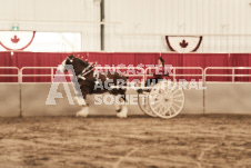 ete's Photography - Equine photography of various equine events at the Ancaster Fair including riding, driving, single carts and six draft horse hitches.