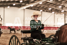 ete's Photography - Equine photography of various equine events at the Ancaster Fair including riding, driving, single carts and six draft horse hitches.