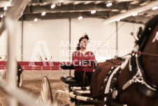 ete's Photography - Equine photography of various equine events at the Ancaster Fair including riding, driving, single carts and six draft horse hitches.