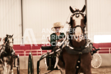 ete's Photography - Equine photography of various equine events at the Ancaster Fair including riding, driving, single carts and six draft horse hitches.