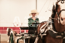 ete's Photography - Equine photography of various equine events at the Ancaster Fair including riding, driving, single carts and six draft horse hitches.