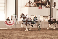 ete's Photography - Equine photography of various equine events at the Ancaster Fair including riding, driving, single carts and six draft horse hitches.