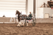 ete's Photography - Equine photography of various equine events at the Ancaster Fair including riding, driving, single carts and six draft horse hitches.