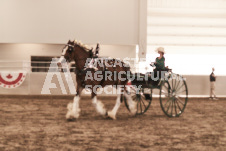 ete's Photography - Equine photography of various equine events at the Ancaster Fair including riding, driving, single carts and six draft horse hitches.