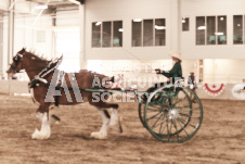 ete's Photography - Equine photography of various equine events at the Ancaster Fair including riding, driving, single carts and six draft horse hitches.