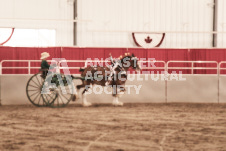 ete's Photography - Equine photography of various equine events at the Ancaster Fair including riding, driving, single carts and six draft horse hitches.