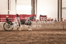 ete's Photography - Equine photography of various equine events at the Ancaster Fair including riding, driving, single carts and six draft horse hitches.